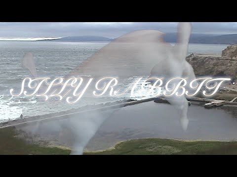 Video thumbnail for Silly Rabbit
