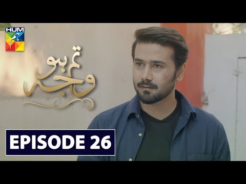 Tum Ho Wajah Episode 26 HUM TV Drama 30 October 2020
