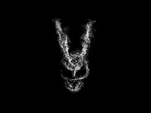 SILLY RABBIT 2022-11-12