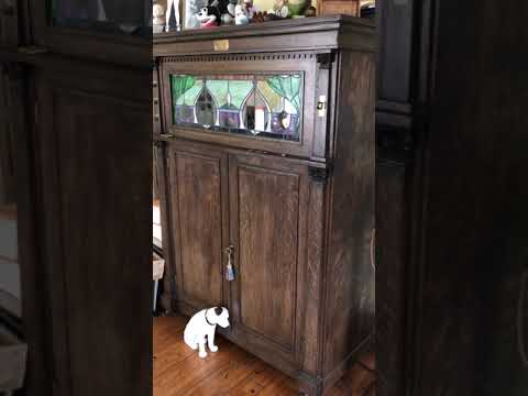 "Adoring You", Fox Trot: