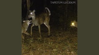 Cover art for Hail Mary