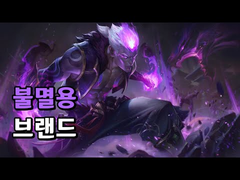 불멸용 브랜드 (Eternal Dragon Brand Skin Spotlight)