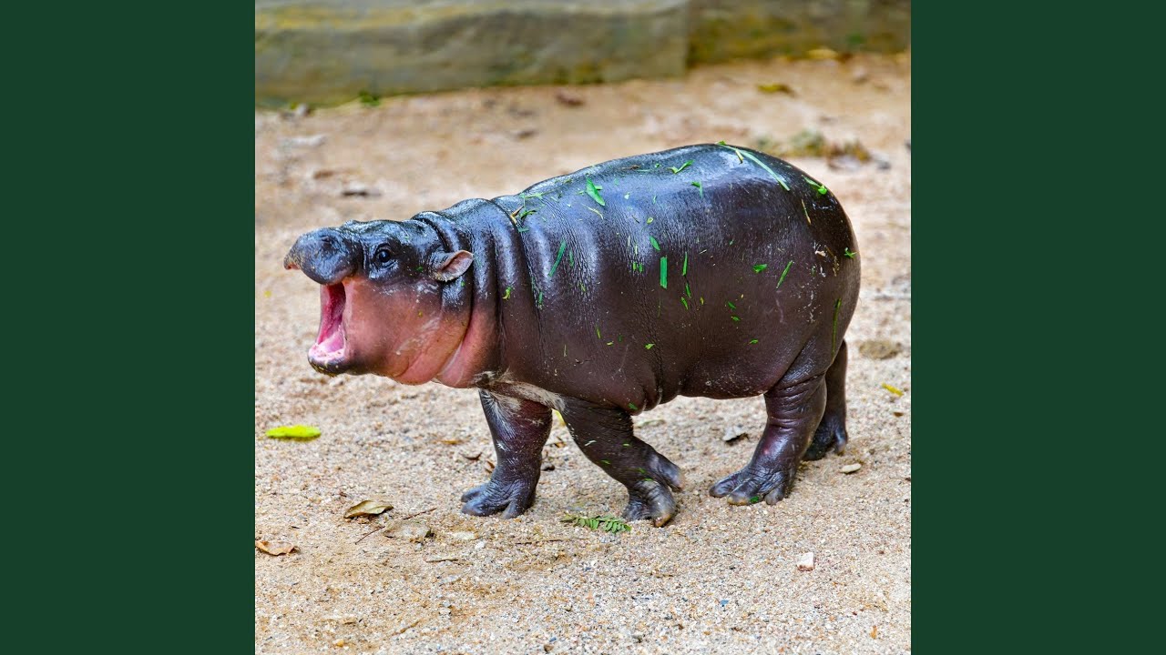 Love Me Like You (Christmas Mix)