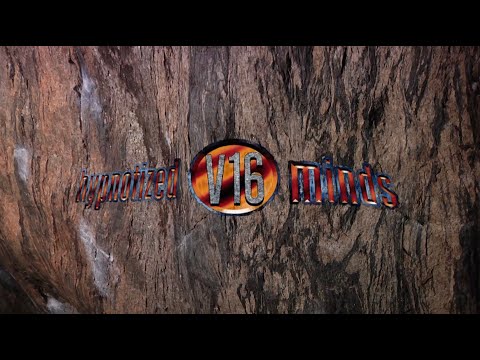HYPNOTIZED MINDS V16 - Zach Galla