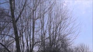 Half Moon Run - Fire Escape (landscape video)