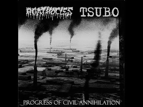 AGATHOCLES / TSUBO - Split 7" (2010)