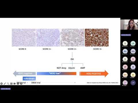 HER2 testing in the era of ADC