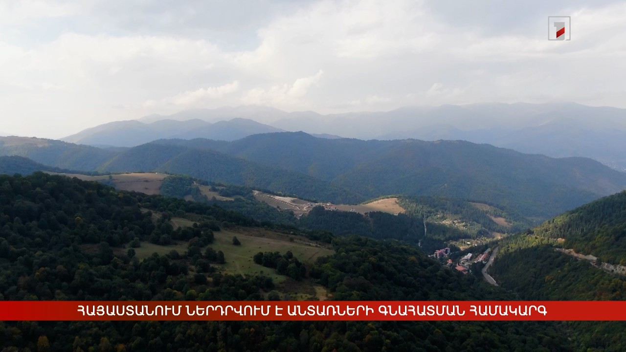 Հայաստանում ներդրվում է անտառների ազգային մոնիթորինգի և գնահատման համակարգ