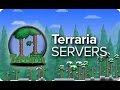 Teeria Legends (My Favourite Terraria Server)