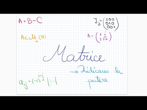 Matrice: ridicarea la putere - clasa a XI-a