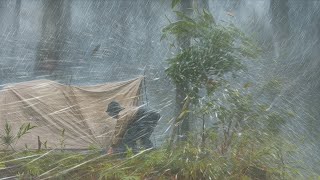 Download lagu 😲 OMG‼️ TERRIBLE THUNDERSTORM ⛈️ CAMPING IN A POWERFUL THUNDERSTORM 💯 mp3 Download lagu 😲 OMG‼️ TERRIBLE THUNDERSTORM ⛈️ CAMPING IN A POWERFUL THUNDERSTORM 💯 mp3