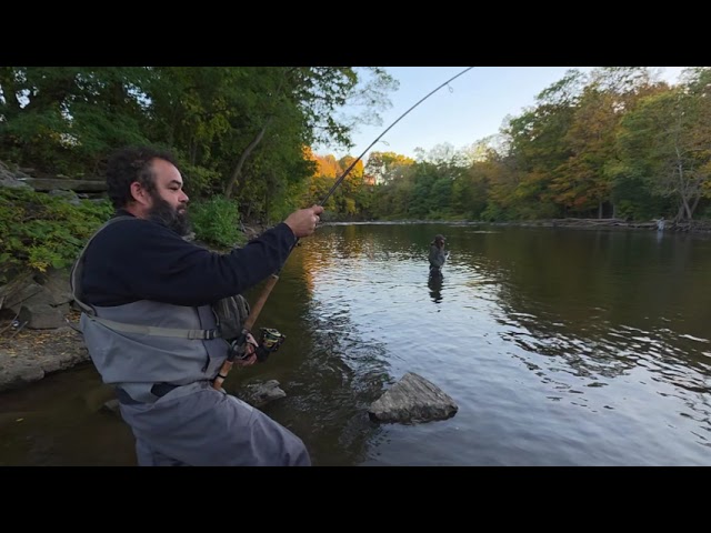 Judge.me YouTube video placeholder