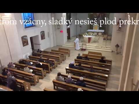 JKS 129 - Ach, kríž svätý