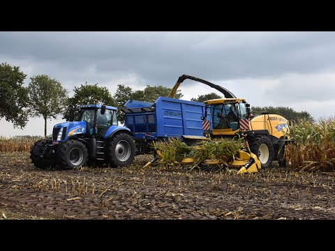 New Holland FR9060 + 2x T8020 & DEWA 3-asser - Loonw. Joosen