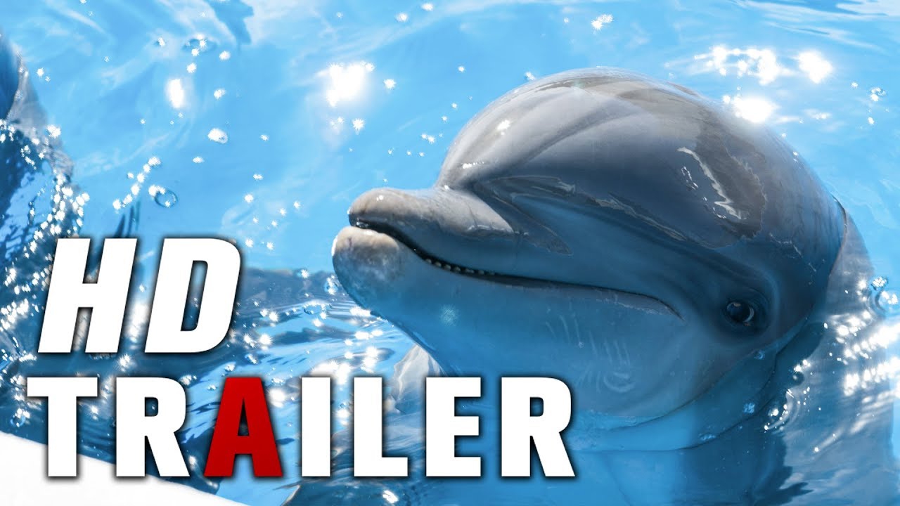 Miniature de la vidéo BERNIE THE DOLPHIN - Bande Annonce VO du film Bernie le dauphin