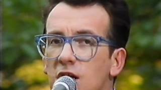 ELVIS COSTELLO - EVERYDAY I WRITE THE BOOK