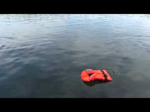 "Hinter uns mein Land" by Babak Ghassim und Usama Elyas, Eine Interpretation by Gerald Brandt