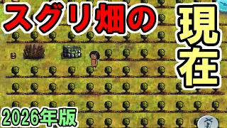 【2026年版】スグリ畑の現在の管理方法が昔と全然違ってた　～巨大スグリ畑～【You Are Hope】【ゆあほぷ】【旧OHOL】