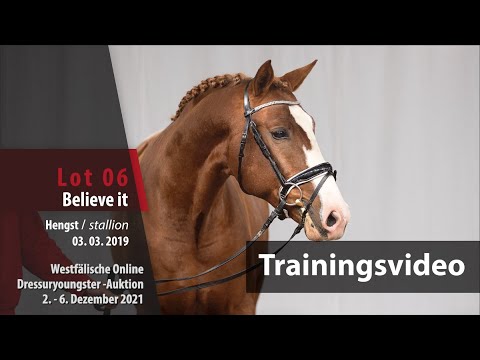 Online Dressuryoungster-Auktion Training Lot 6 Believe it v. Benicio - Fürst Heinrich
