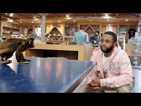 Solowke - Monkey (Official Music Video)