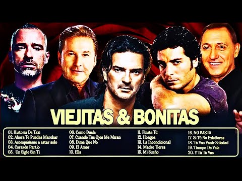 FRANCO DE VITA EROS RAMAZZOTTI RICARDO ARJONA CHAYANNE ALEJANDRO FERNÁNDEZ RICKY MARTIN 🎸
