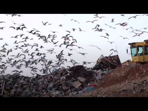 EFKA - DoReMi (Tribute Video )