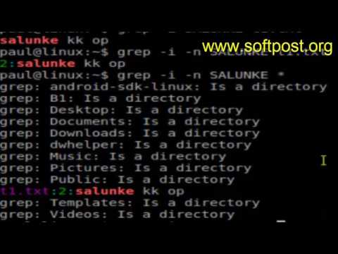 grep command examples in Mac OSX Terminal