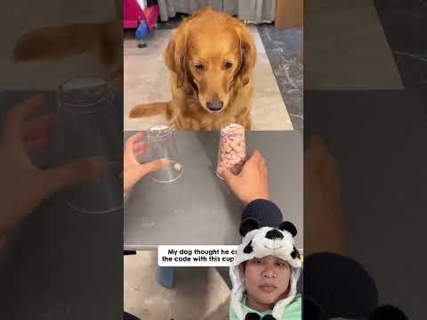 @TheWoofWorldTV Padahal kan tadi isinya kayak banyak ya ? #dubbingvideo #shortvideo #shorts