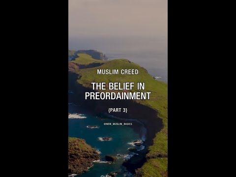 Belief in Pre-Ordainment (Qadr and Qada) (part 3)