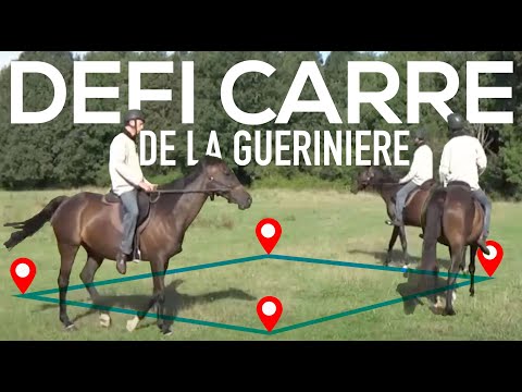 Défi carré de la Guérinière