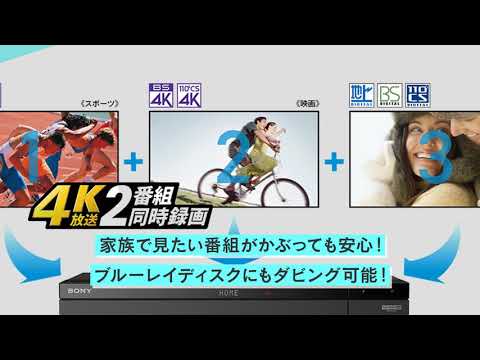 ブルーレイレコーダー BDZ-FBT4000 [4TB /3番組同時録画 /BS・CS 4K