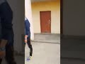 Dance Deewane