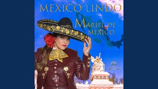 Cover art for No volvere