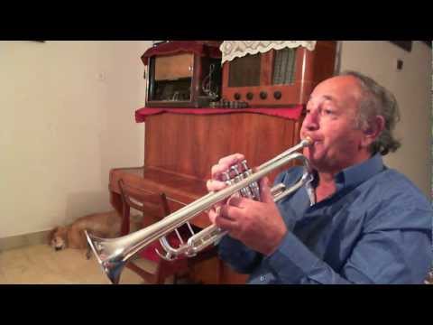 DANIEL TORIS  ---hayom yom shishi-היום יום שישי