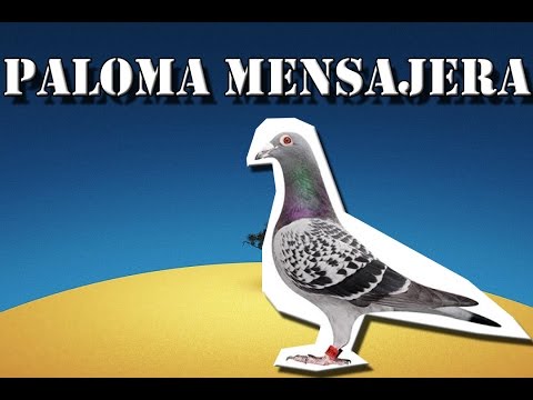 Quali medicine da vermi sono più efficaci Helminths su pelle alla persona