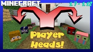 1.7 - 1.12 | How to Get Players Heads in Minecraft