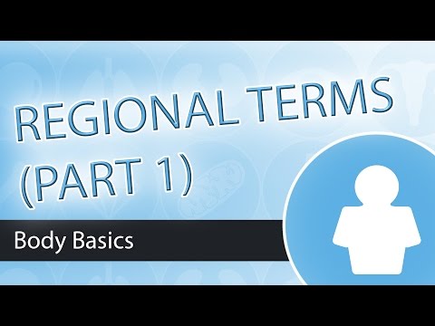Regional Terms