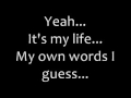 Eminem When I M Gone Lyrics