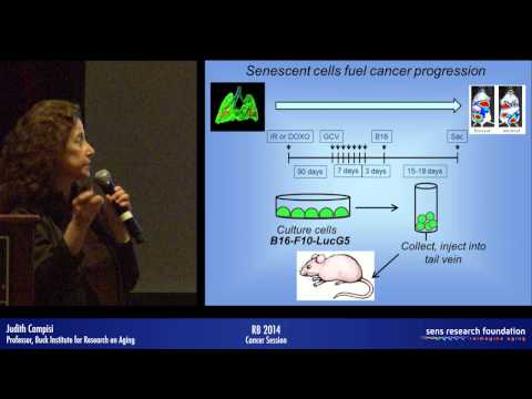 Cancer and Aging: Rival Demons? - Judith Campisi