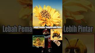 Download lagu Lebah Madu Malas yang Menemukan Surga Tersembunyi | Kisah Inspiratif dan Penuh Makna  #shorts #short mp3