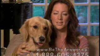 Sarah McLachlan SPCA Commercial