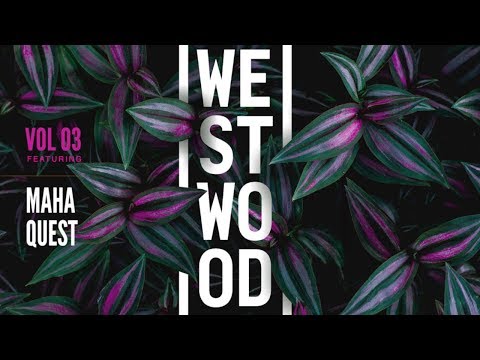 Chilled Future Vibes - Westwood Sounds Vol 3 - Maha Quest - Samples and Loops