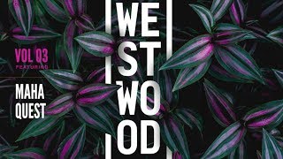 Video thumbnail for Chilled Future Vibes - Westwood Sounds Vol 3 - Maha Quest - Samples and Loops by Black Octopus Sound