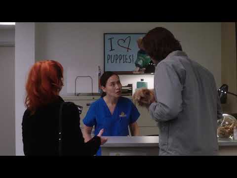 Supernatural | Rowena turns Jack into a dog | S14E14 | Logoless