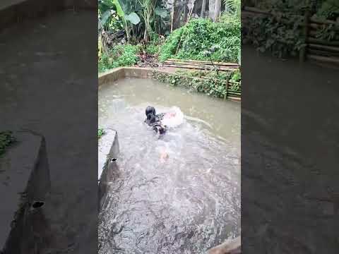 Bathing in a Stream Inside My House! 🏡💦 #Shorts