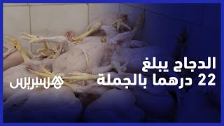 "أسعار الدجاج بالجملة يصل إلى 22 درهما.. مهنيون: "السوق كامل فيه غير الدجاج الرقيق، والانتاج ناقص thumbnail