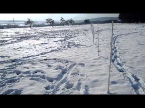 Le 8.12.2012 - Quand il neige....