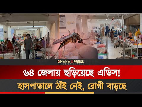 জুনে ডেঙ্গুতে মৃত্যু বেড়েছে ছয় গুণ, আতঙ্কে বাংলাদেশ