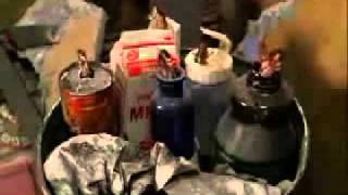 (vid vers.#2) ROACHES - BOBBY JIMMY AND THE CRITTERS