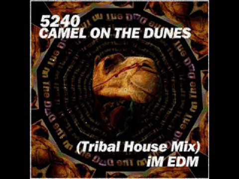 5240 Camel On The Dunes Tribal House Mix